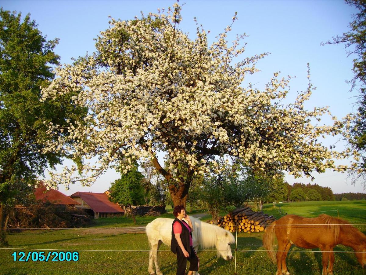 Gestehof Hetzenberg Haag 外观 照片